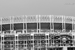 DSCN5337