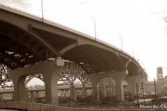 DSCN5362
