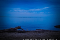 DSCN6449