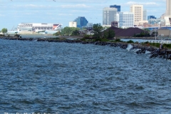 DSCN1808