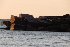 DSCN2901