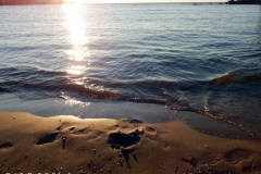 DSCN2905