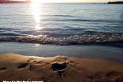 DSCN2907