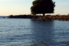 DSCN2912