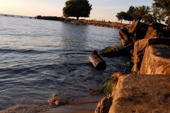 DSCN2919