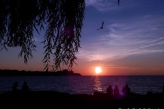 DSCN2941