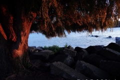 DSCN2944