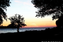 DSCN2988