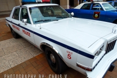 DSCN7829