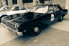 DSCN7842