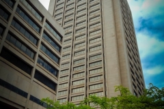 DSCN7903